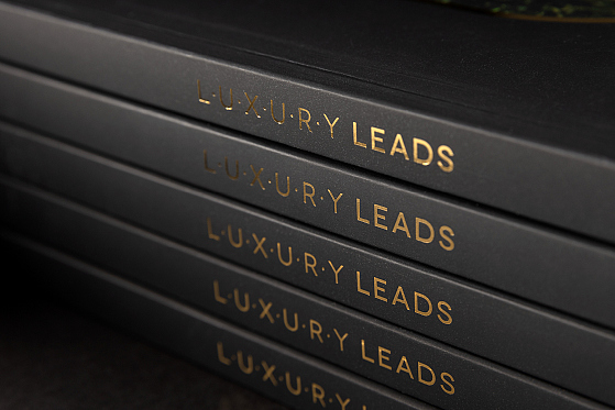 Magazine Luxury Leads
